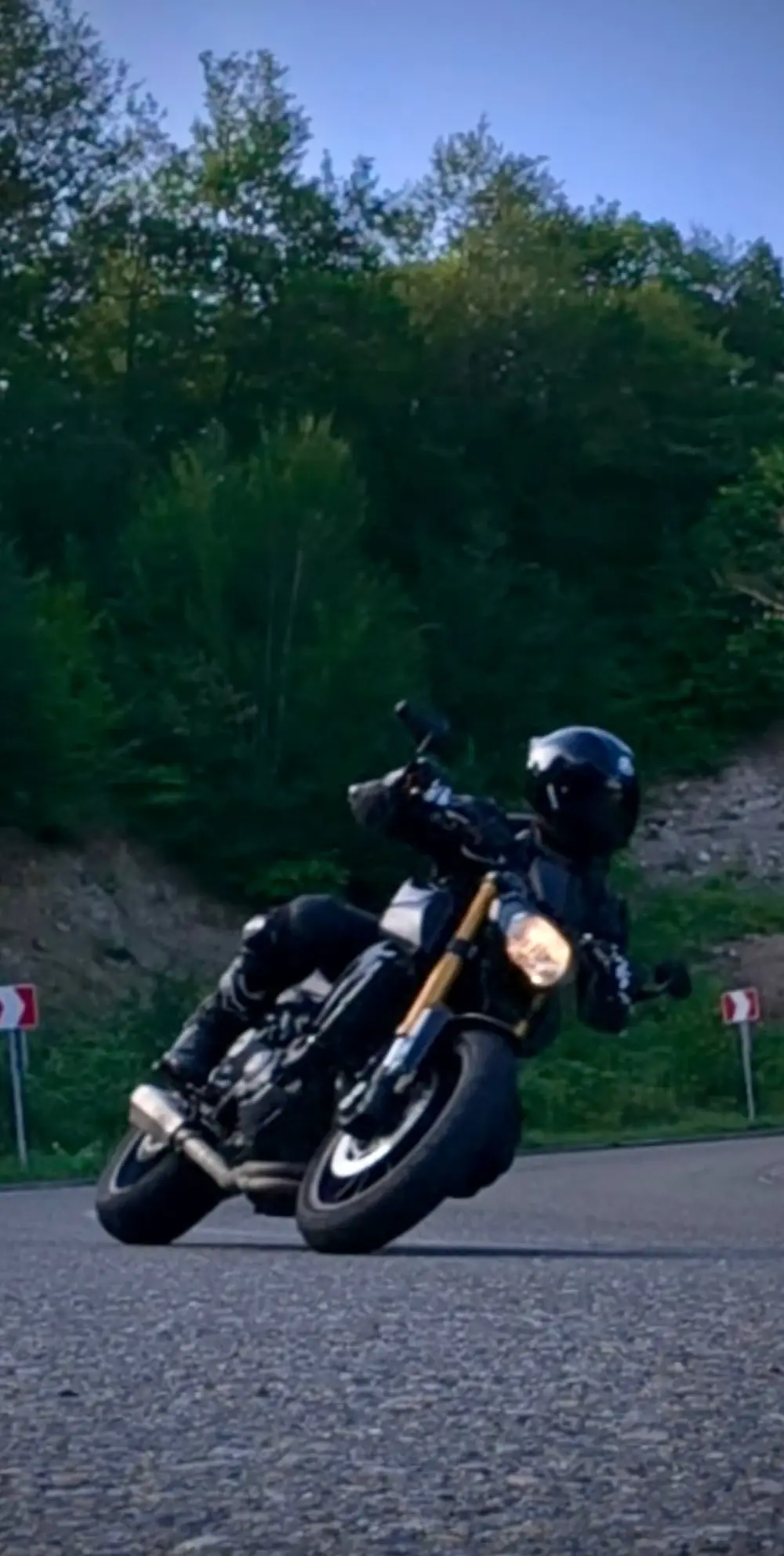 Motorcycle leaning into a corner beside a wooded road